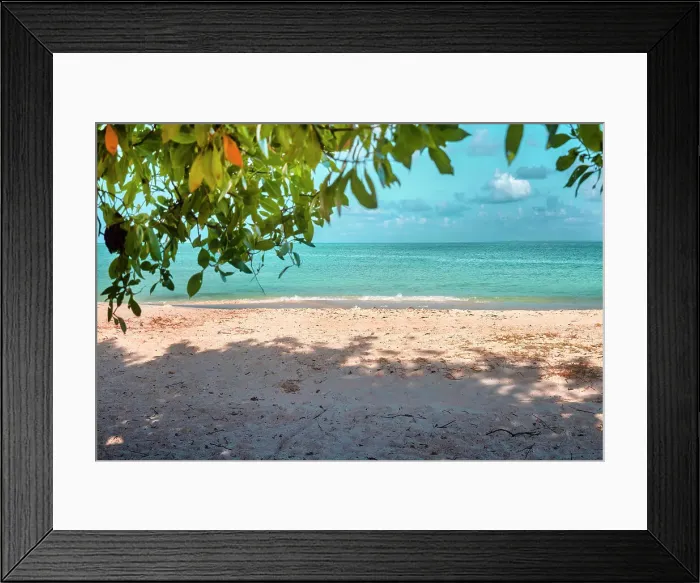 Framed Print : Aruba, Eagle beach with green vegetation Framed Print : Aruba, Eagle beach with green vegetation