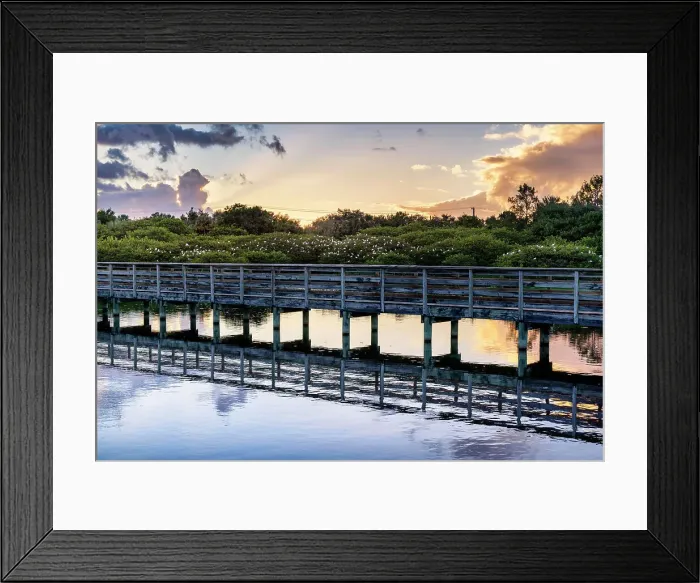 Framed Print : Florida, Delray Beach, Wakodahatchee Wetlands
