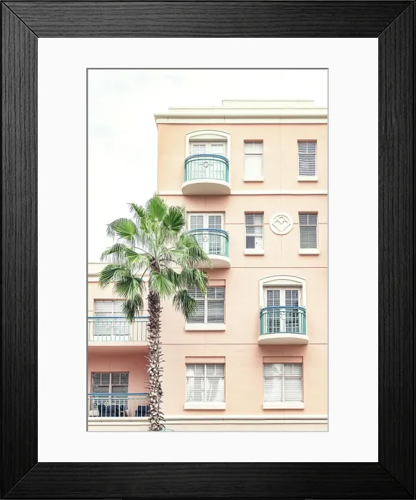 Framed Print : Florida, Mizner Park, palm tree against pink wall Framed Print : Florida, Mizner Park, palm tree against pink wall