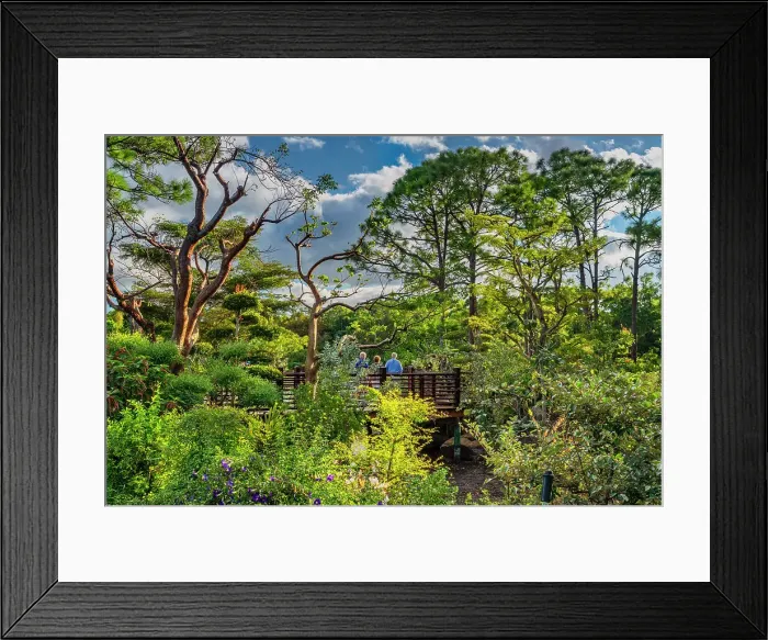 Framed Print : Florida, Delray Beach, Morikami Museum and Japanese Gardens Framed Print : Florida, Delray Beach, Morikami Museum and Japanese Gardens