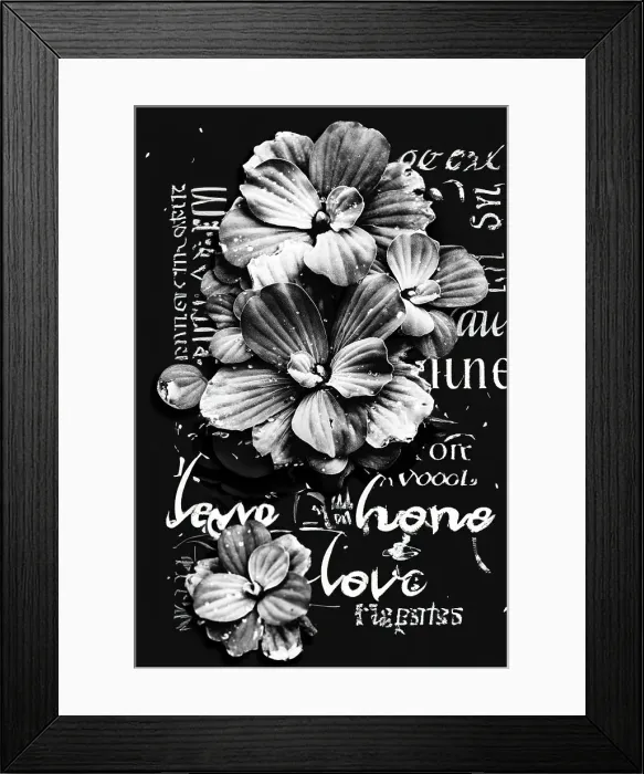 Framed Print : Abstract of tropical aquatic plant with love inspiring message Framed Print : Abstract of tropical aquatic plant with love inspiring message
