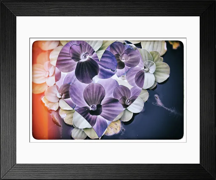 Framed Print : Abstract of heart shape over aquatic plants Framed Print : Abstract of heart shape over aquatic plants
