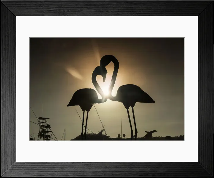 Framed Print : Aruba, Oranjestad, Flamingos Sculpture