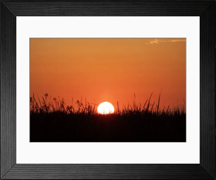 Framed Print : Sunset over wetlands Framed Print : Sunset over wetlands