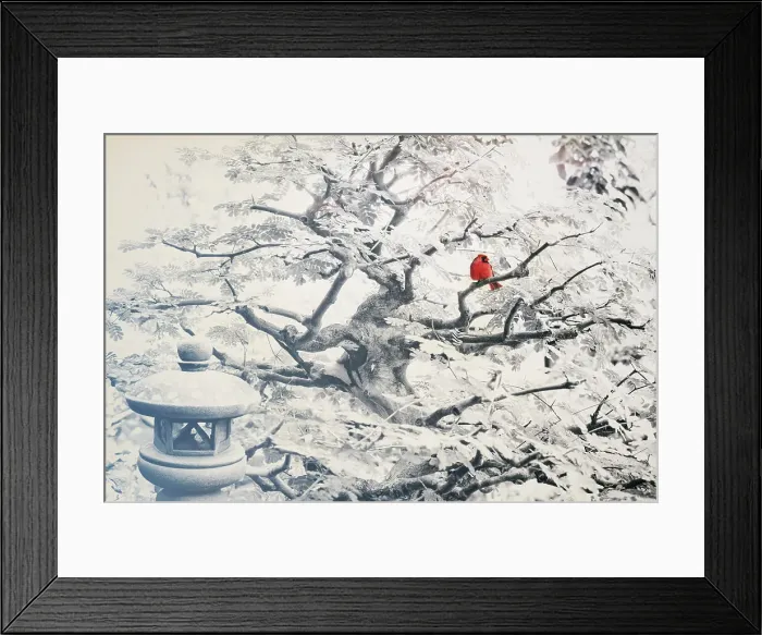 Framed Print : Zen theme with cardinal perched on tree branch, Japanese lantern Framed Print : Zen theme with cardinal perched on tree branch, Japanese lantern