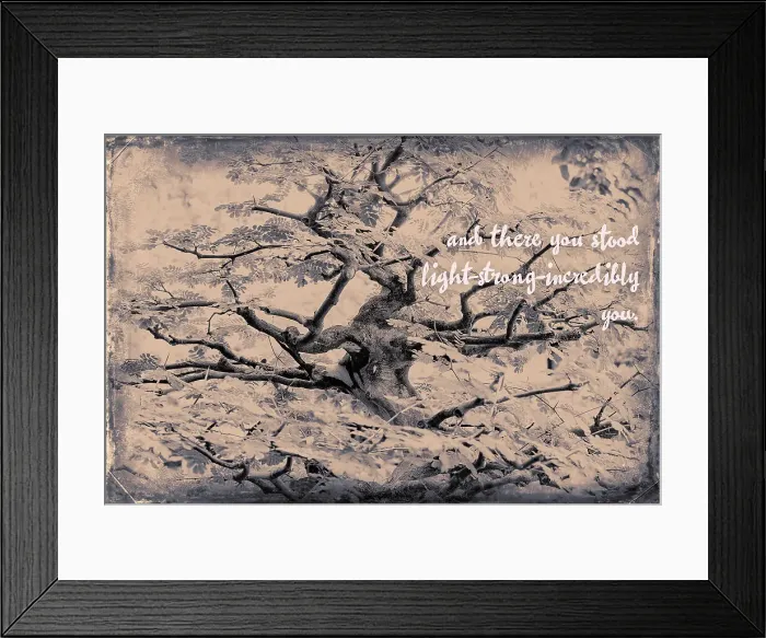 Framed Print : Abstract of tree branches with inspiring message
