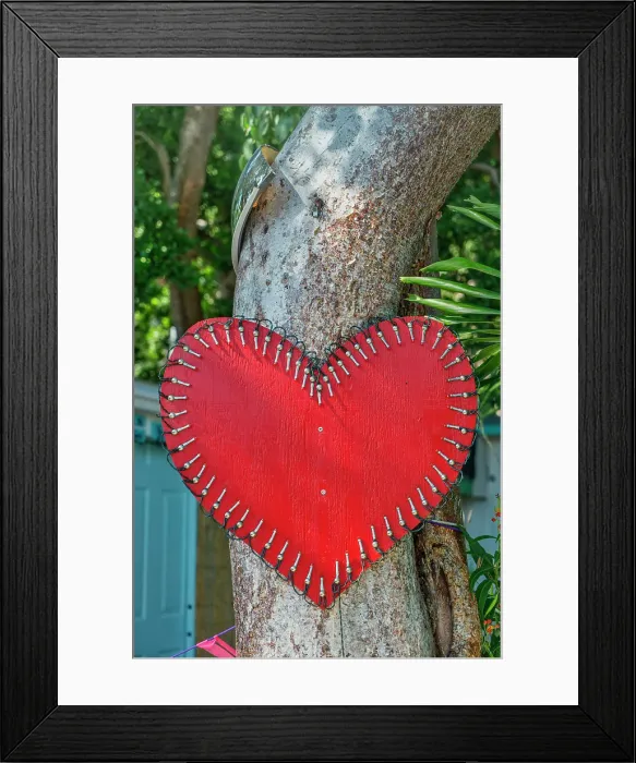 Framed Print : Florida, The Keys, Key Largo, heart on tree Framed Print : Florida, The Keys, Key Largo, heart on tree