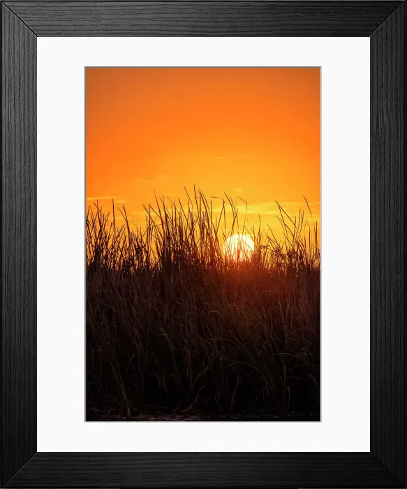 Framed Print : Sunset over the Everglades Framed Print : Sunset over the Everglades