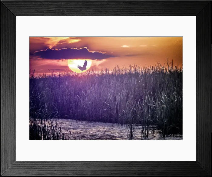 Framed Print : Abstract of birds in flight Framed Print : Abstract of birds in flight
