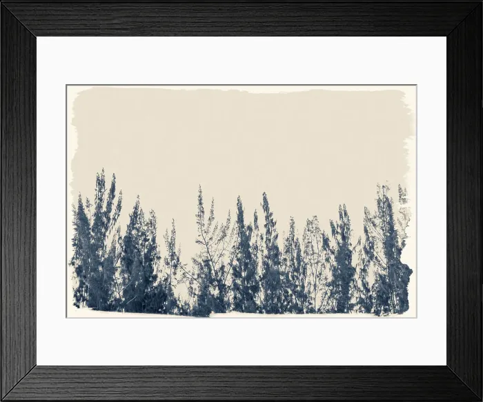 Framed Print : Artistic view of tree tops Framed Print : Artistic view of tree tops