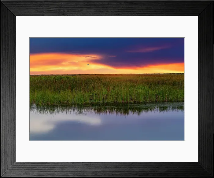 Framed Print : Florida, South Florida, Boynton Beach, Arthur R. Marshall Loxahatchee National Wildlife Refuge Framed Print : Florida, South Florida, Boynton Beach, Arthur R. Marshall Loxahatchee National Wildlife Refuge