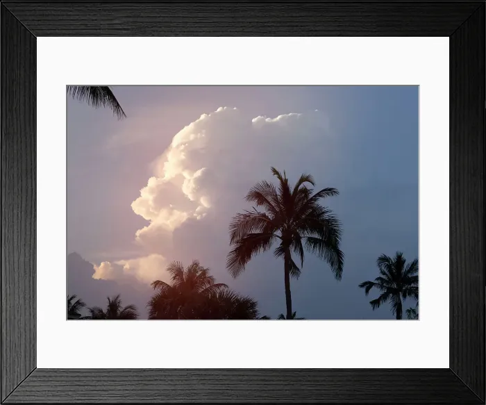 Framed Print : Tropical sunset with silhouetted palm trees Framed Print : Tropical sunset with silhouetted palm trees