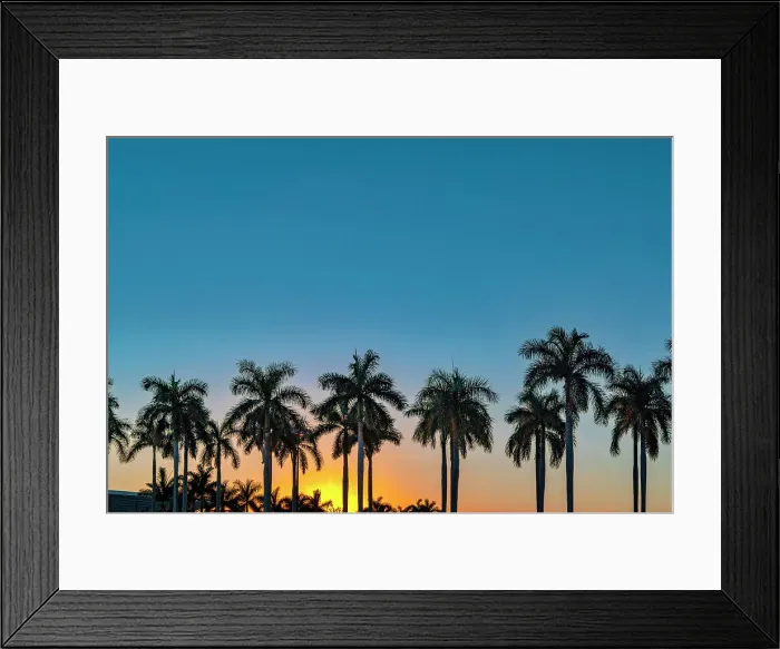 Framed Print : Silhouette of palm trees at sunset Framed Print : Silhouette of palm trees at sunset
