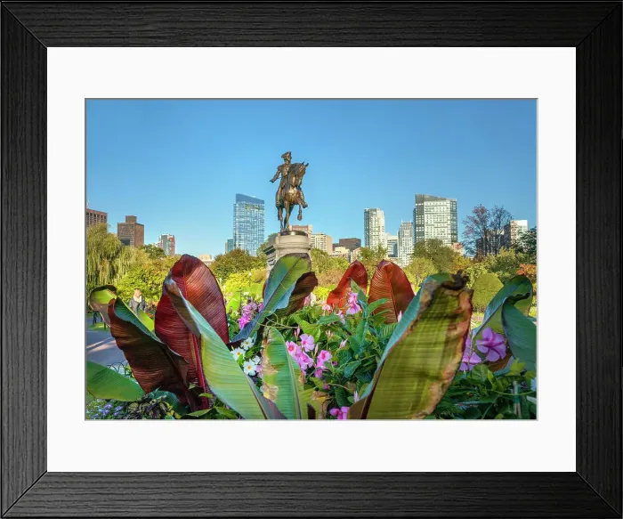 Framed Print : Massachusetts, Boston, Public Garden, statue of George Washington Framed Print : Massachusetts, Boston, Public Garden, statue of George Washington