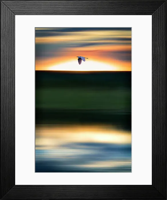 Framed Print : Abstract of bird flying at sunset Framed Print : Abstract of bird flying at sunset