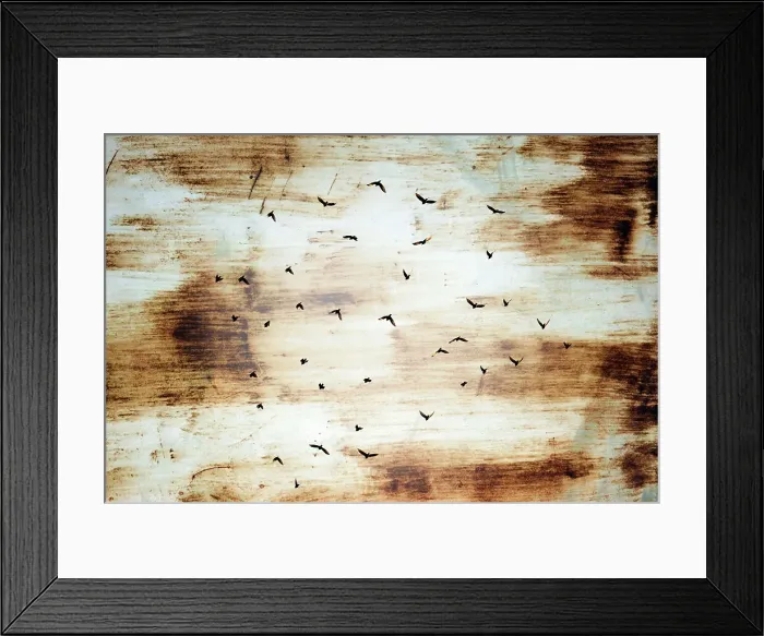 Framed Print : Abstract of birds in flight Framed Print : Abstract of birds in flight