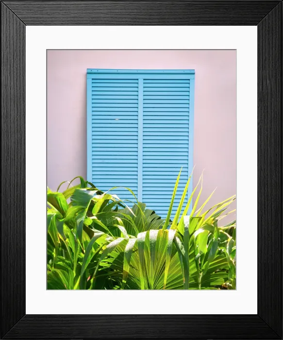 Framed Print : Tropical view of window shutters and palm tree Framed Print : Tropical view of window shutters and palm tree
