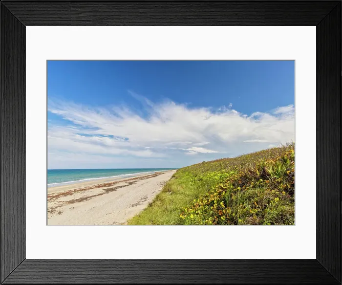 Framed Print : Florida, South Florida, Jupiter, Blowing Rocks Preserve beach