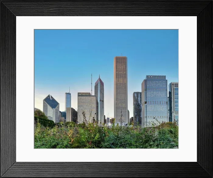 Framed Print : Illinois, Chicago, Skyline View from Grant Park Framed Print : Illinois, Chicago, Skyline View from Grant Park