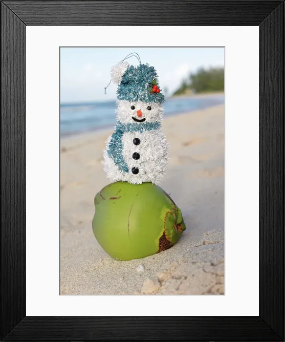 Framed Print : Barbados, snowman on top of a coconut at the beach Framed Print : Barbados, snowman on top of a coconut at the beach