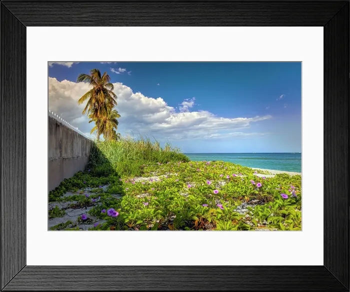 Framed Print : Florida, Palm Beach, beach