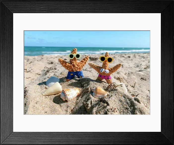 Framed Print : Starfish couple vacationing in Florida