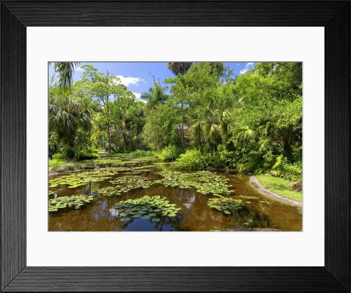 Framed Print : Florida, Vero Beach, McKee Botanical Gardens