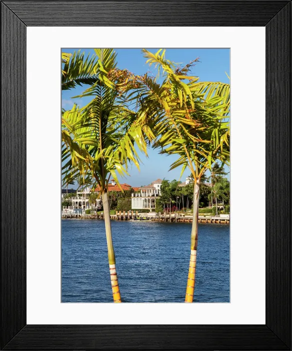 Framed Print : Florida, Boca Raton, Park overlooking intercoastal
