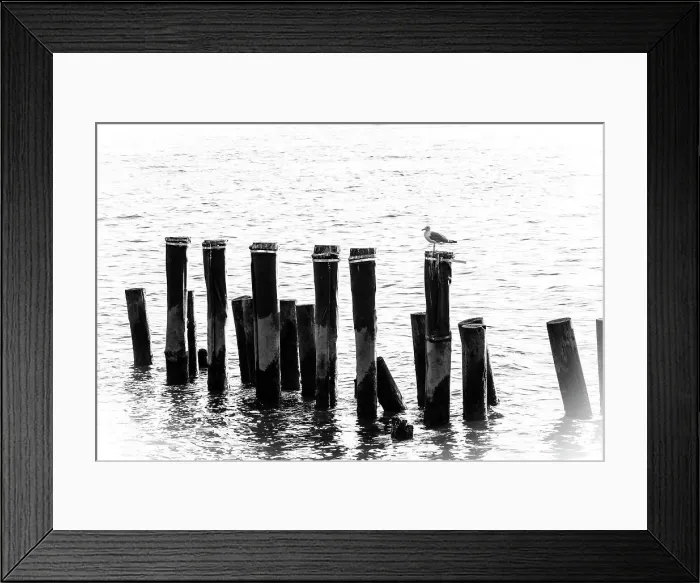 Framed Print : New York City, Brooklyn, Pilings viewed from Brooklyn Bridge Park Framed Print : New York City, Brooklyn, Pilings viewed from Brooklyn Bridge Park