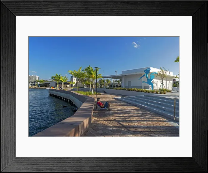 Framed Print : Florida, Boca Raton, Wildflower / Silver Palm Park