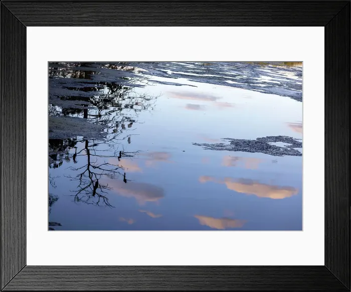 Framed Print : Abstract of clouds and tree with birds reflecting over water Framed Print : Abstract of clouds and tree with birds reflecting over water