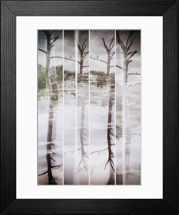 Framed Print : Artistic view of bare tree in sections, reflecting over water Framed Print : Artistic view of bare tree in sections, reflecting over water