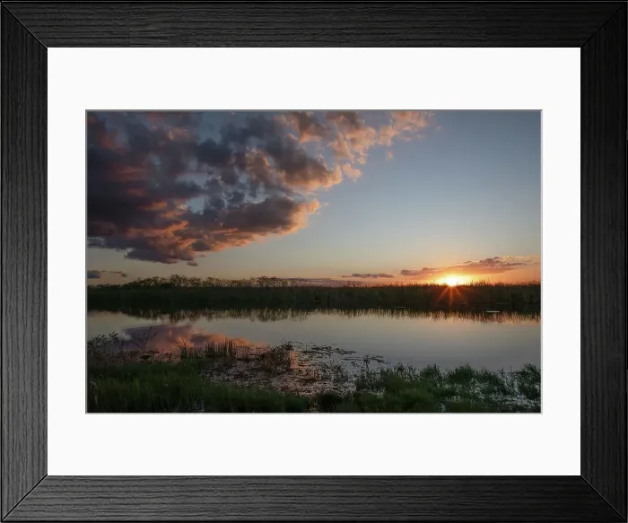Framed Print : Florida, South Florida, Everglades, Arthur R. Marshall Wildlife Refuge Framed Print : Florida, South Florida, Everglades, Arthur R. Marshall Wildlife Refuge