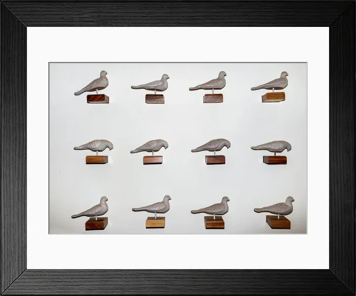 Framed Print : Doves decorating wall