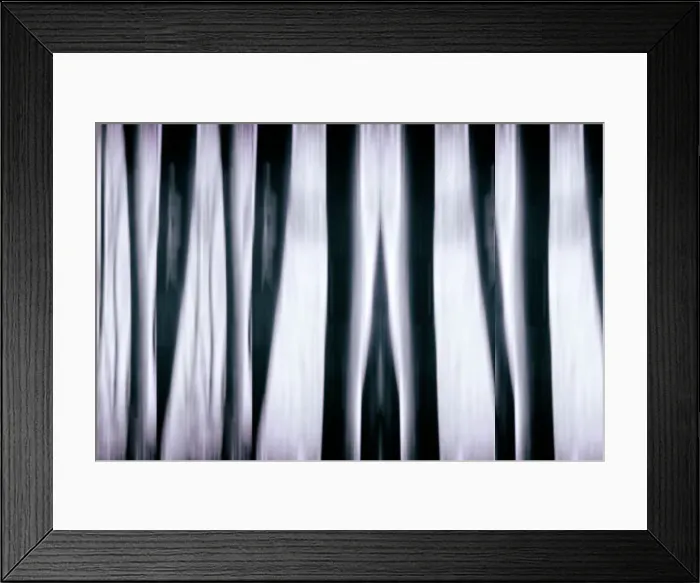 Framed Print : Florida, South Florida, Delray Beach, Morikami Museum and Japanese Gardens Framed Print : Florida, South Florida, Delray Beach, Morikami Museum and Japanese Gardens