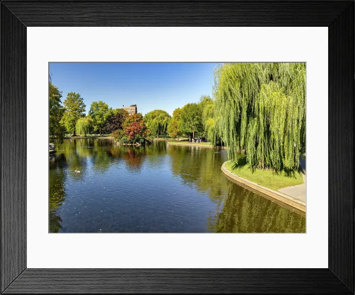 Framed Print : Massachusetts, Boston, Boston Public Garden Framed Print : Massachusetts, Boston, Boston Public Garden