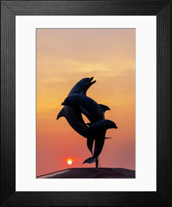 Framed Print : Mexico, Puerto Vallarta, The Friendship Fountain or The Dancing Dolphins Fountain Framed Print : Mexico, Puerto Vallarta, The Friendship Fountain or The Dancing Dolphins Fountain