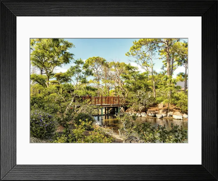 Framed Print : Florida, South Florida, Delray Beach, Morikami Museum and Japanese Gardens Framed Print : Florida, South Florida, Delray Beach, Morikami Museum and Japanese Gardens