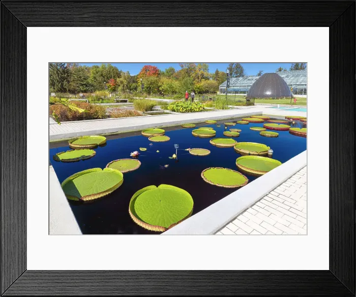 Framed Print : Canada, Quebec, Montreal, Montreal Botanical Garden