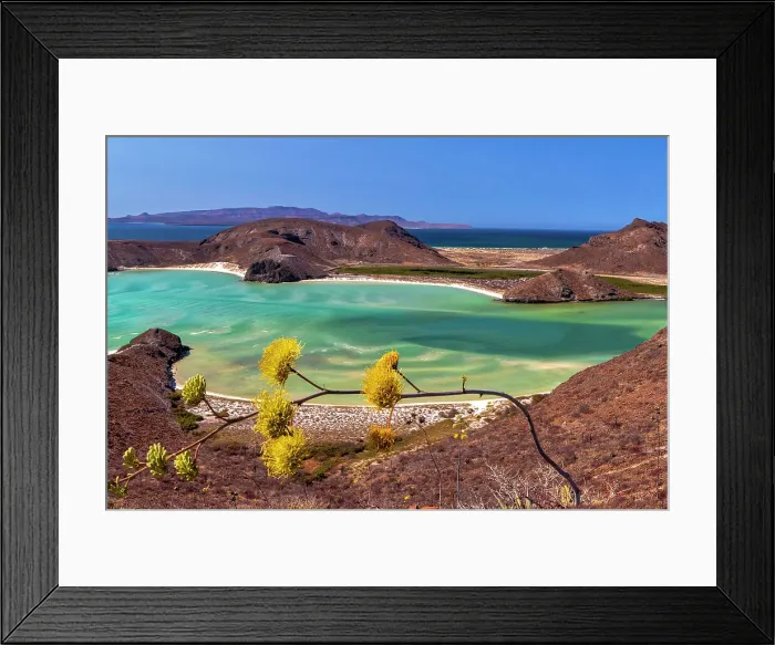 Framed Print : Mexico, La Paz, Baja California Sur peninsula, Playa Balandra, beach Framed Print : Mexico, La Paz, Baja California Sur peninsula, Playa Balandra, beach