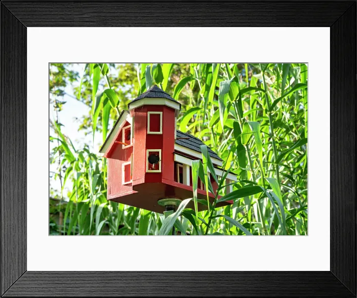 Framed Print : New York, Long Island, Albertson, Clark Botanic Garden, bird house Framed Print : New York, Long Island, Albertson, Clark Botanic Garden, bird house