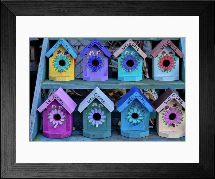Framed Print : Display of Colorful Bird houses for sale Framed Print : Display of Colorful Bird houses for sale