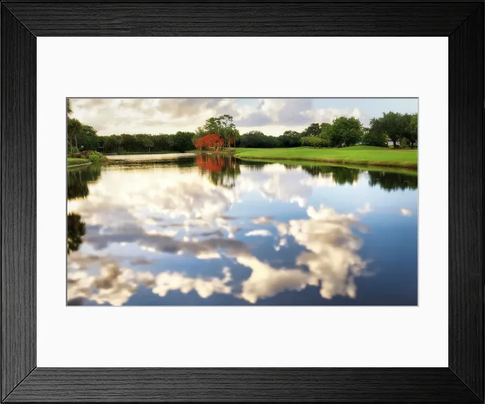Framed Print : Royal Poinciana tree over lake with reflected clouds Framed Print : Royal Poinciana tree over lake with reflected clouds