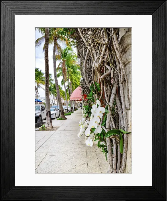 Framed Print : Florida, Palm Beach, Worth Avenue Framed Print : Florida, Palm Beach, Worth Avenue