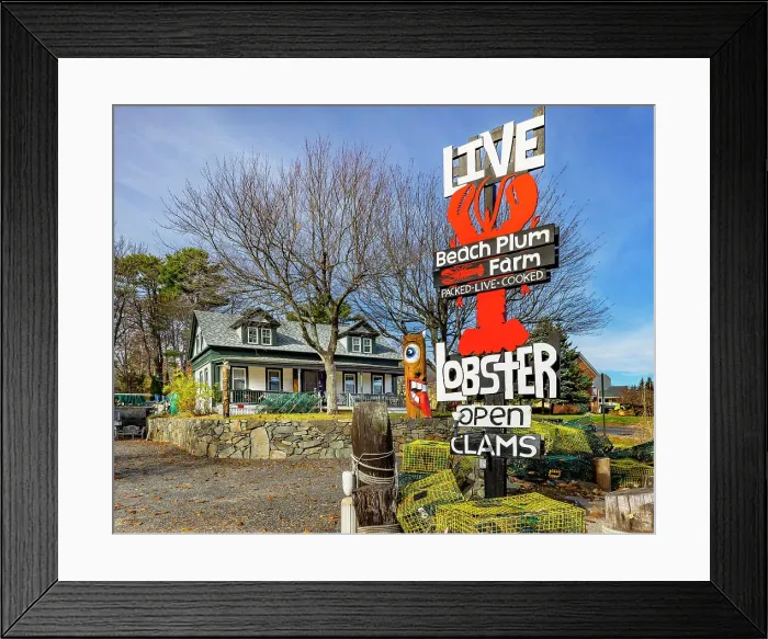 Framed Print : USA, Maine, Ogunquit, Beach Plum Farm TAKE OUT Framed Print : USA, Maine, Ogunquit, Beach Plum Farm TAKE OUT