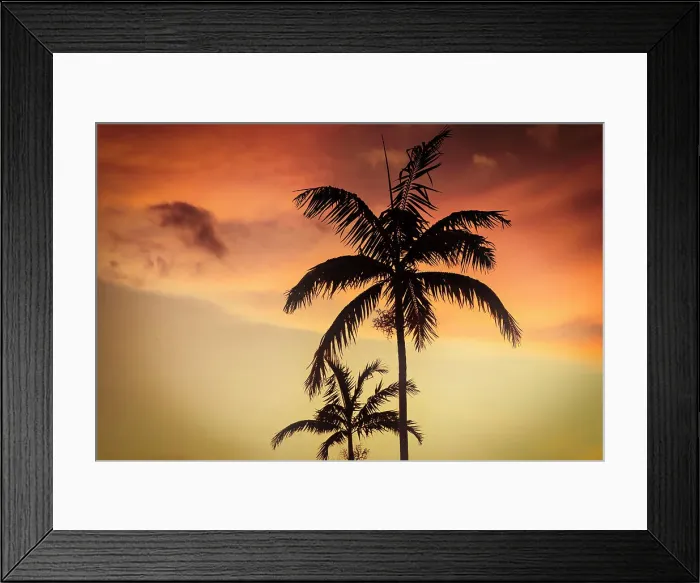 Framed Print : Palm trees with dramatic sky