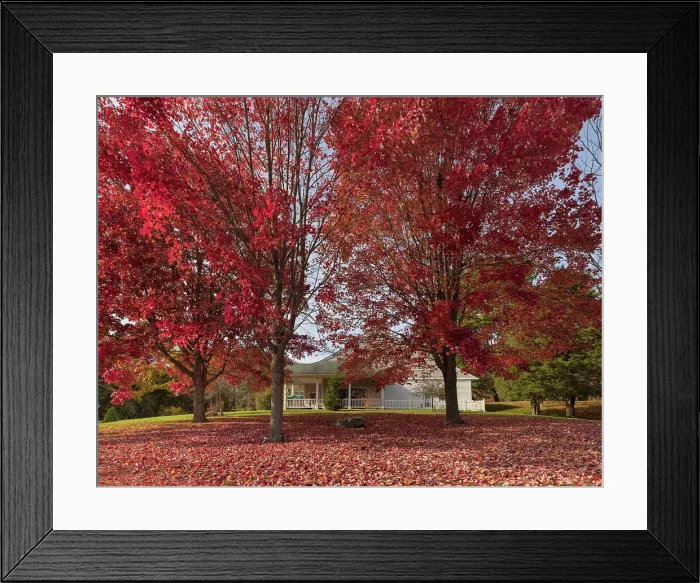 Framed Print : Maine, Kennebunk, Colorful Autumn Scene Framed Print : Maine, Kennebunk, Colorful Autumn Scene