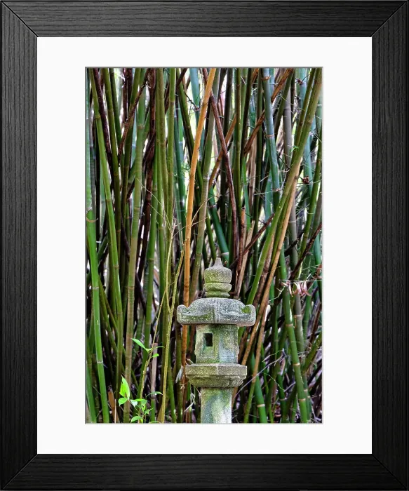 Framed Print : Florida, Delray Beach, Morikami Museum and Japanese Gardens, Japanese lantern with bamboo trees
