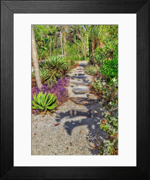 Framed Print : Garden pathway Framed Print : Garden pathway