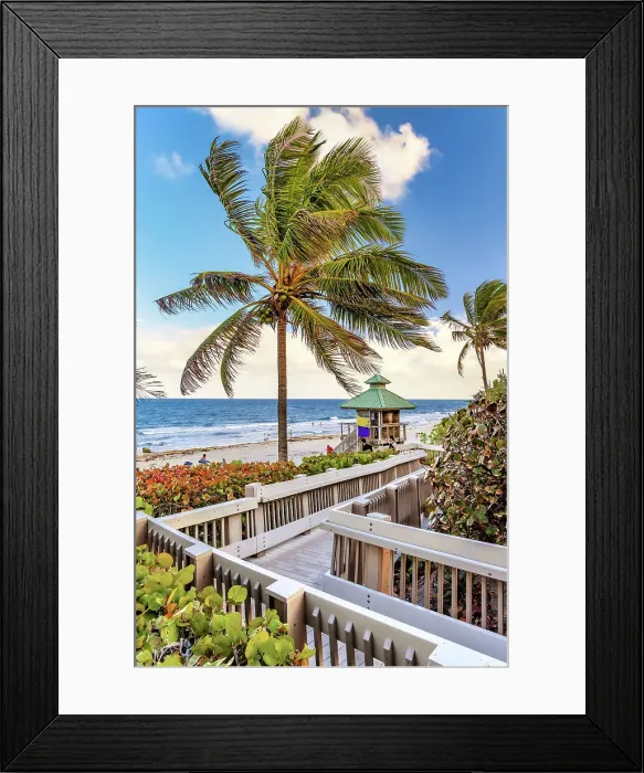 Framed Print : Florida, Boca Raton, Red Reef Park, walkway to the beach Framed Print : Florida, Boca Raton, Red Reef Park, walkway to the beach